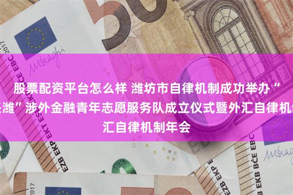 股票配资平台怎么样 潍坊市自律机制成功举办“鸢汇兴潍”涉外金融青年志愿服务队成立仪式暨外汇自律机制年会