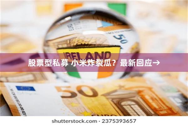 股票型私募 小米炸裂瓜？最新回应→