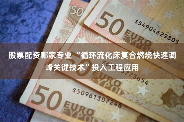 股票配资哪家专业 “循环流化床复合燃烧快速调峰关键技术”投入工程应用
