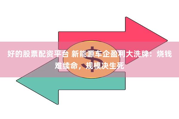 好的股票配资平台 新能源车企盈利大洗牌：烧钱难续命，规模决生死
