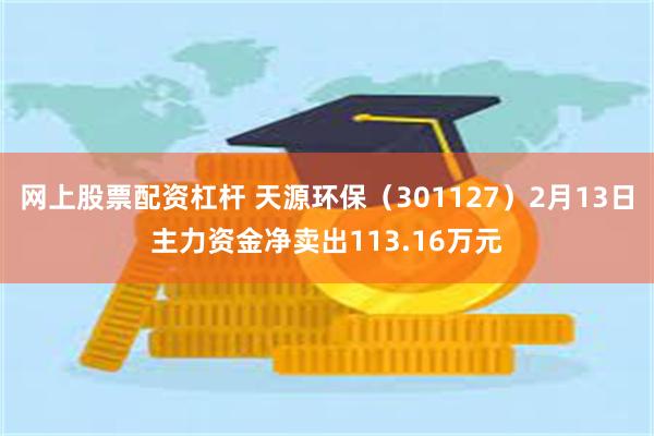 网上股票配资杠杆 天源环保（301127）2月13日主力资金净卖出113.16万元